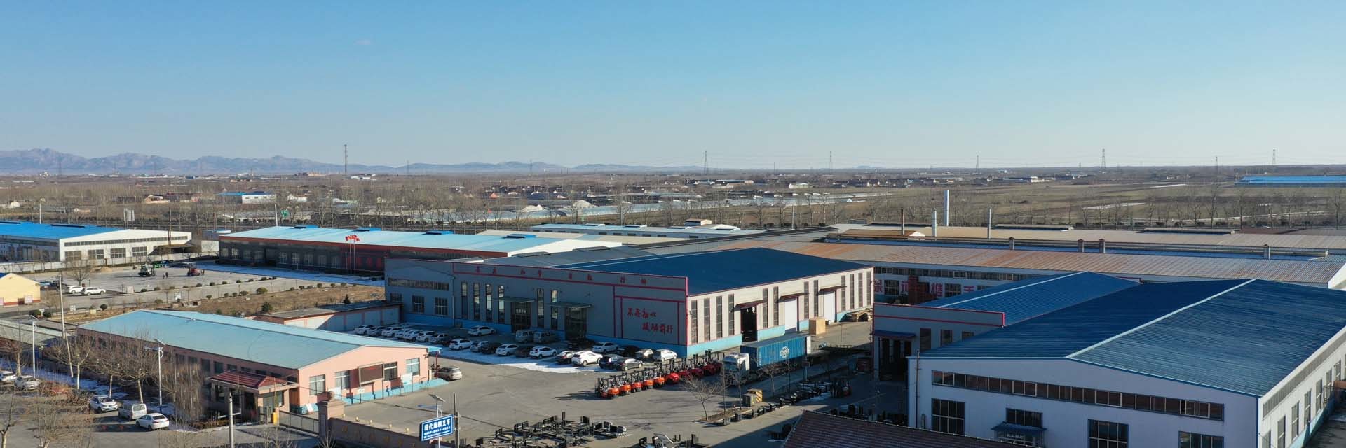 quality Diesel Forklift Truck factory